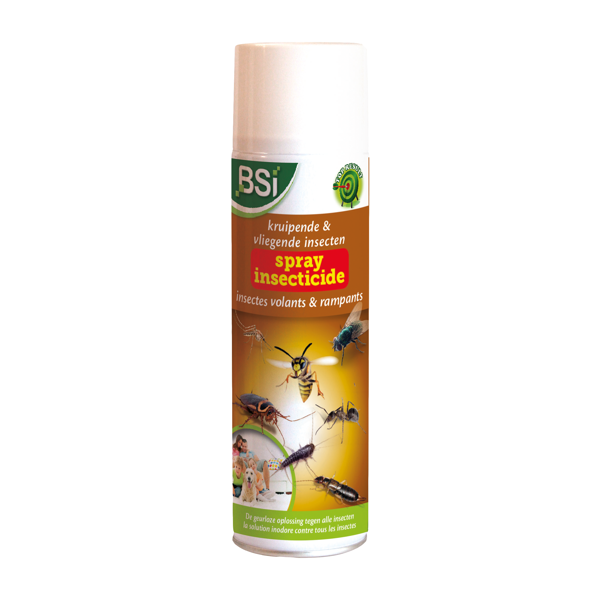 BSI Vliegende en Kruipende Insecten Spray - 500 ml